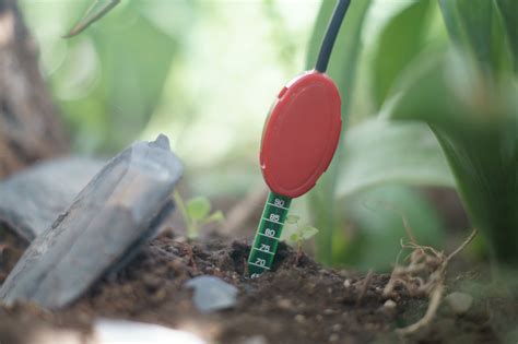 vegetronix soil moisture probe